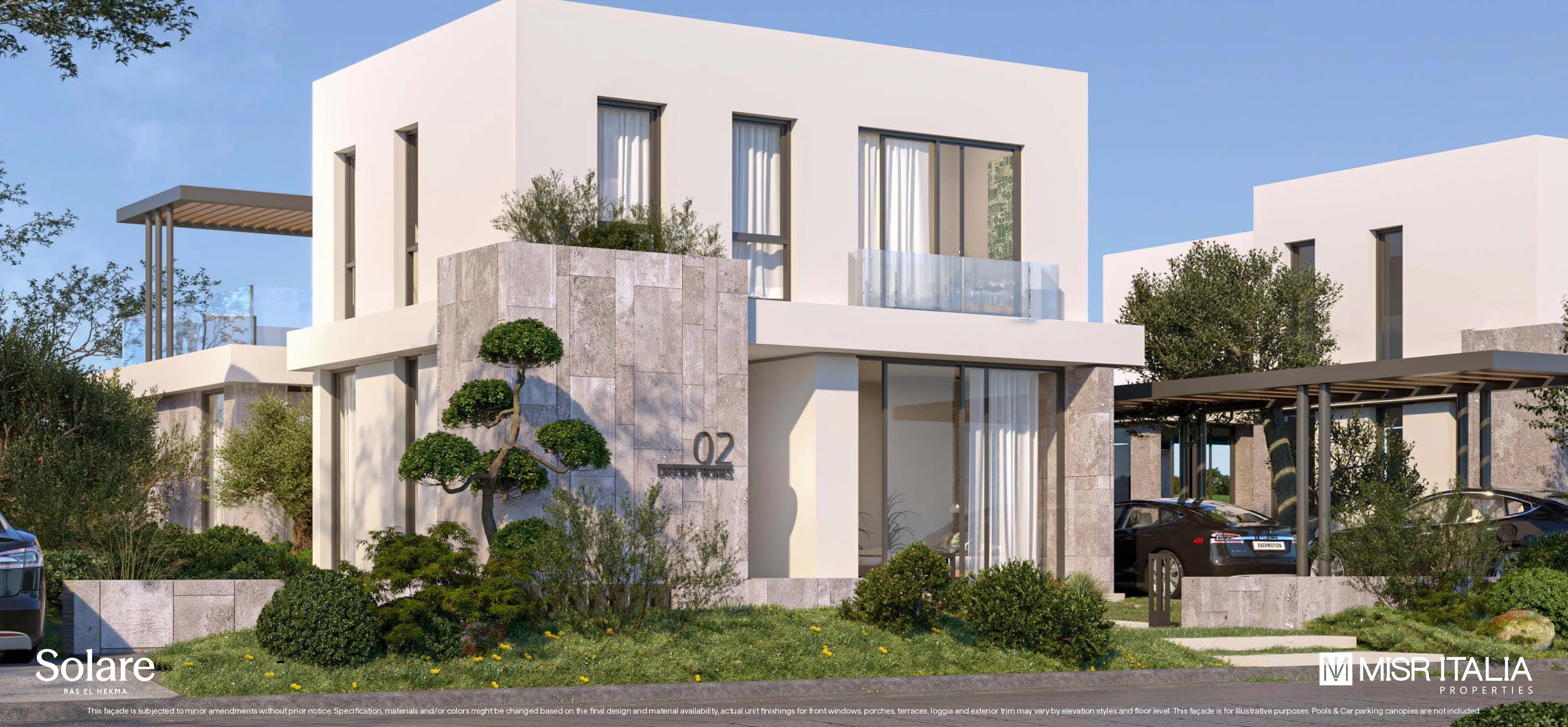 Olive Oasis - Solare 3