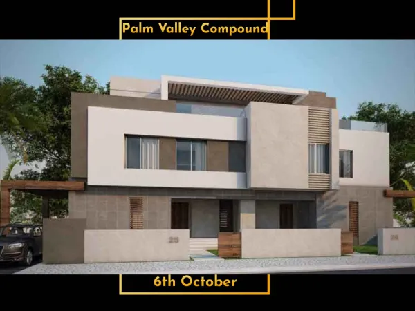 Palm Valley 3