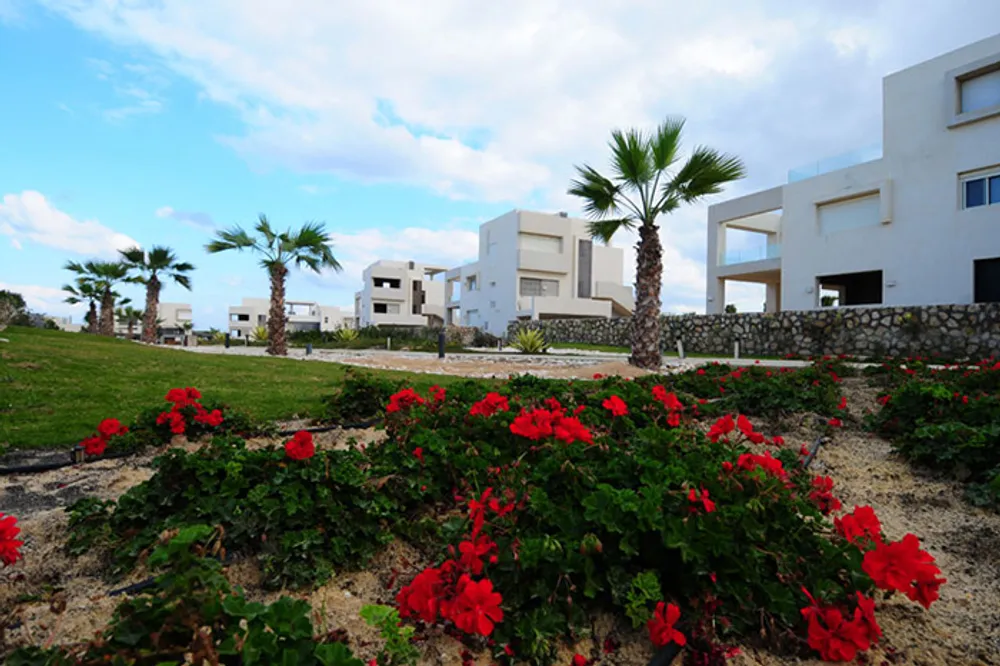 Hacienda White