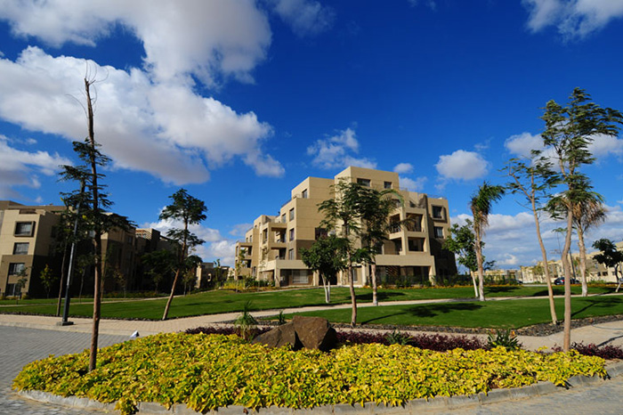 Palm Parks 2