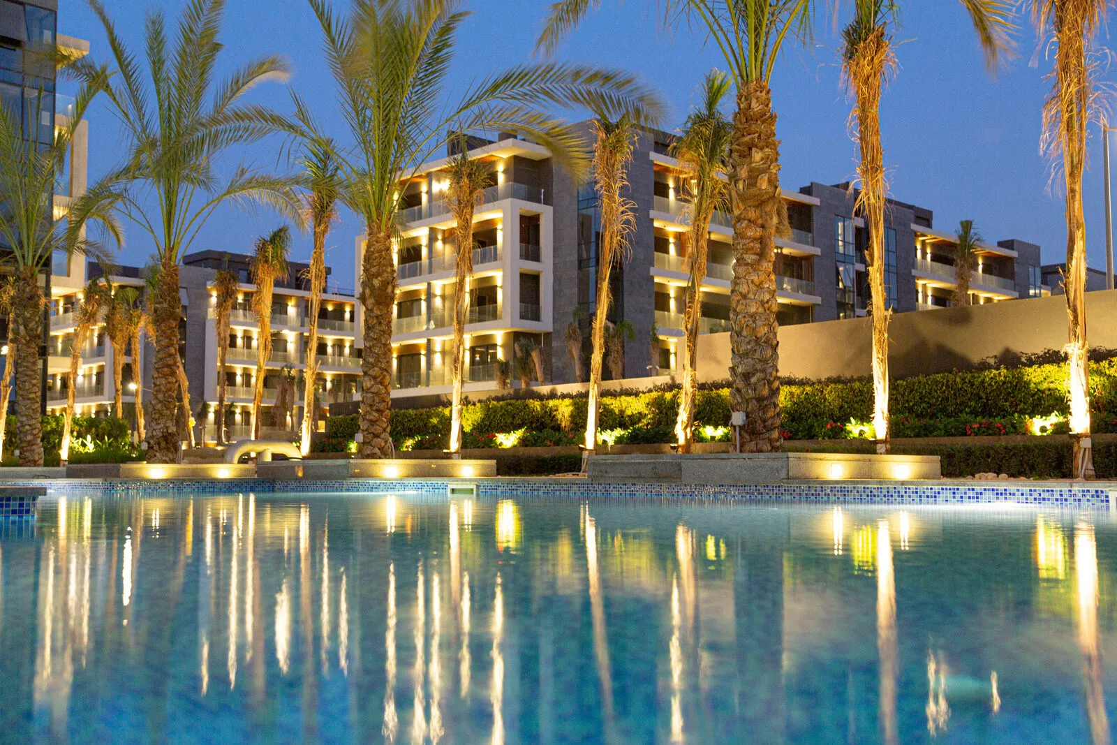 El Patio Oro 2