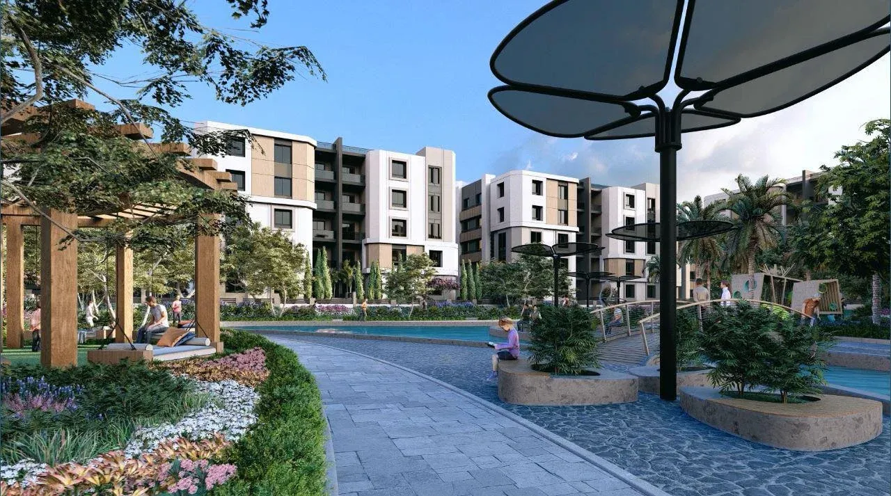 Palm Capital 3