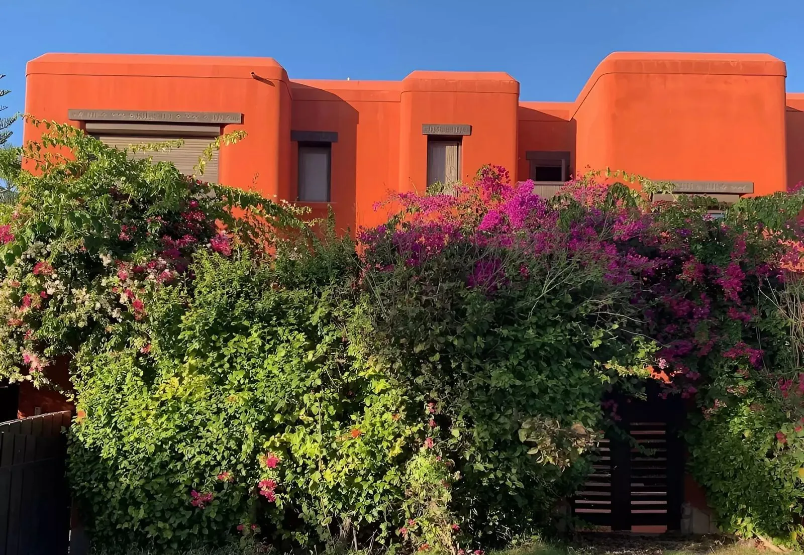 Hacienda Red 3