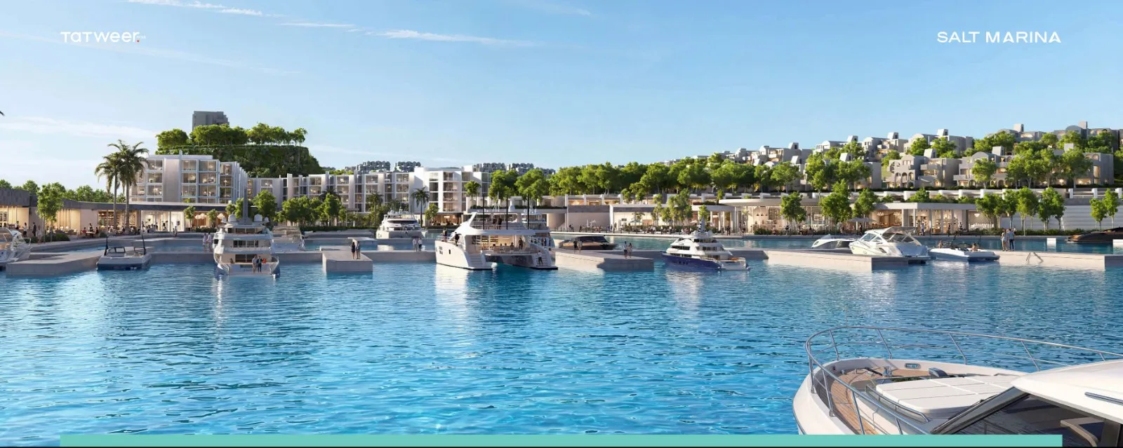 Salt Marina 2